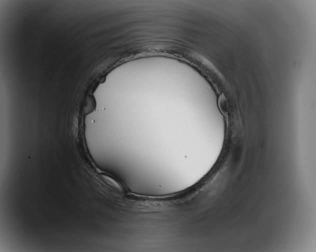 X0000087750777200705291033