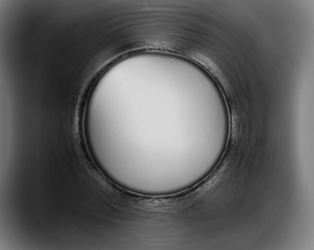 X0000087750780200705291032