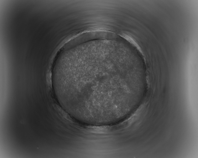 X0000087750781200705291032