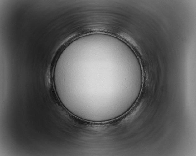 X0000087750782200705291032