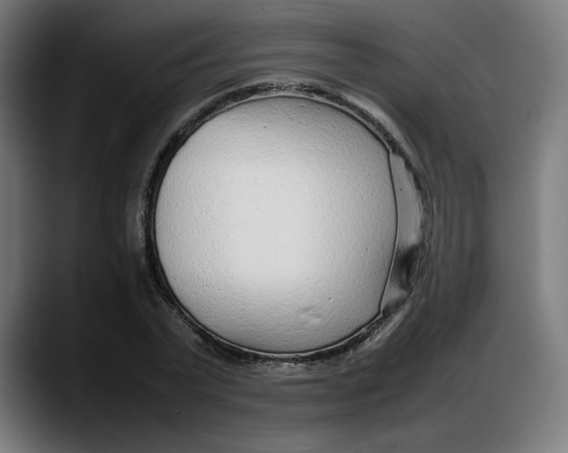 X0000087750783200705291032