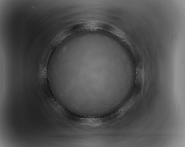 X0000087750785200705291032