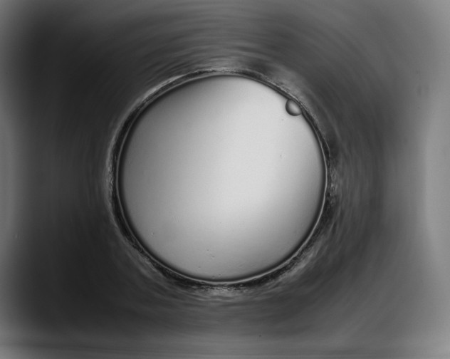 X0000087750787200705291032