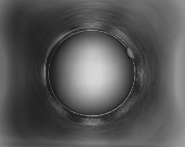 X0000087750788200705291032