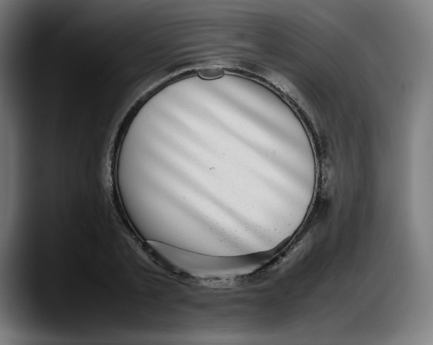 X0000087750789200705291032