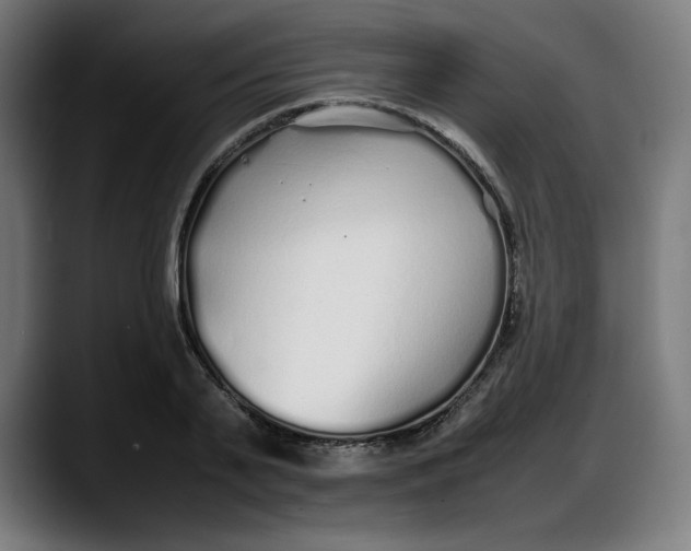 X0000087750791200705291032