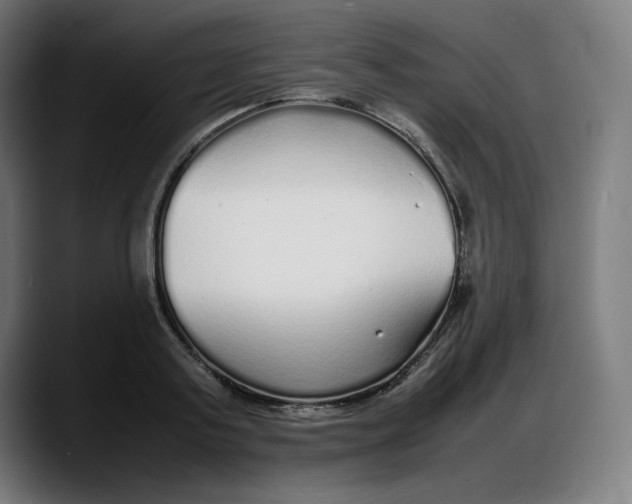 X0000087750795200705291032