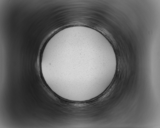 X0000087750796200705291032