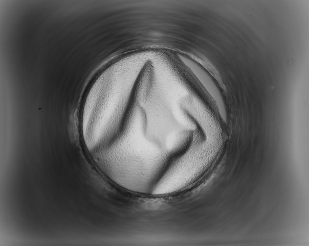 X0000087750798200705291032