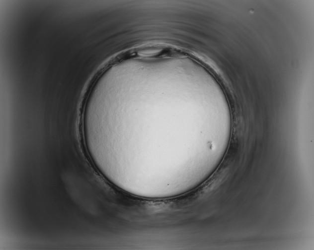 X0000087750799200705291032