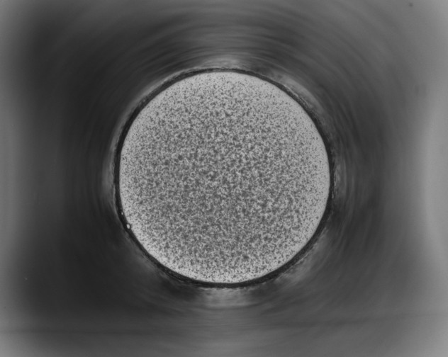 X0000087750800200705291032