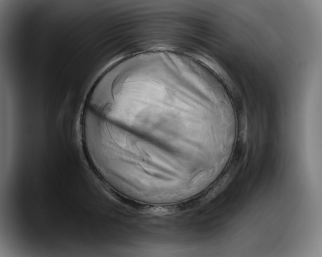 X0000087750806200705291032