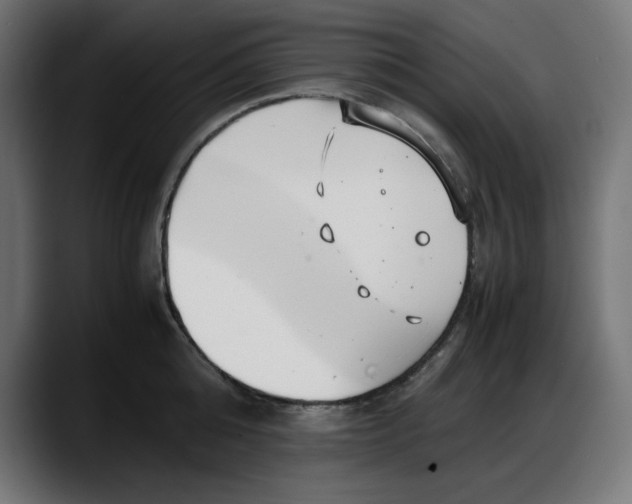 X0000087750808200705291032