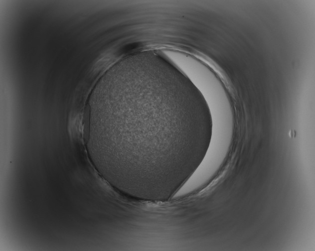 X0000087750809200705291032