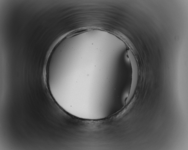 X0000087750812200705291032