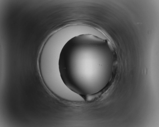 X0000087750813200705291032