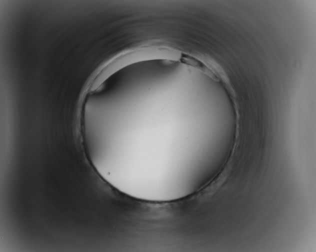 X0000087750816200705291032