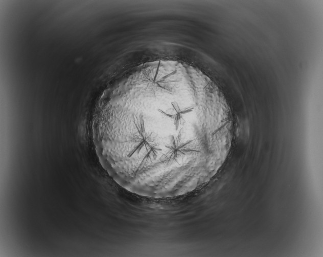 X0000087750819200705291031