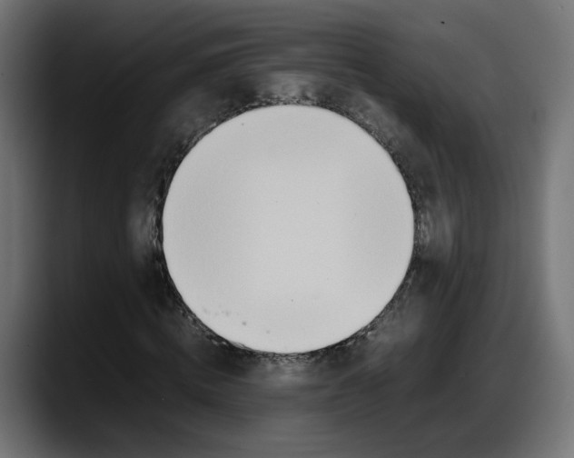 X0000087750820200705291031