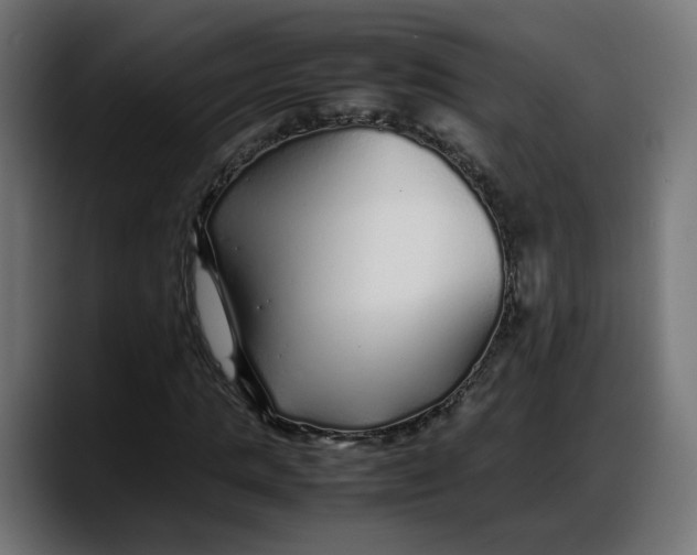 X0000087750821200705291031