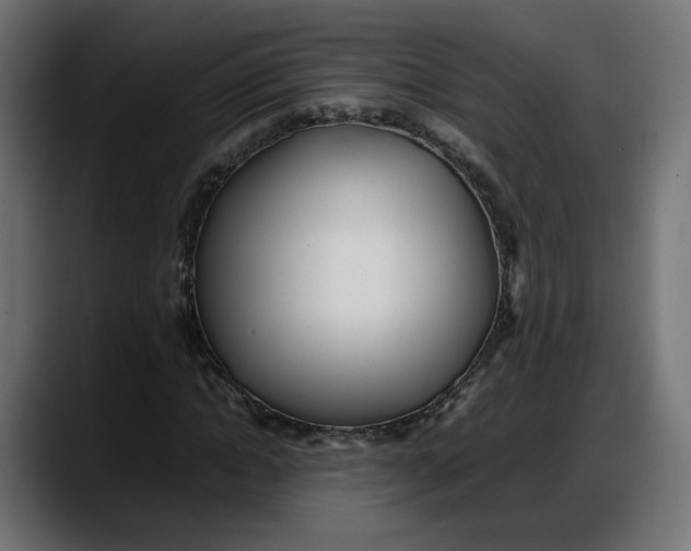 X0000087750822200705291031