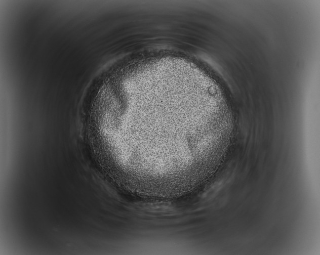 X0000087750823200705291031