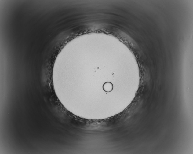 X0000087750824200705291031