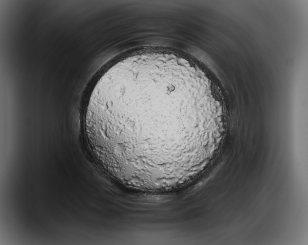 X0000087750829200705291032