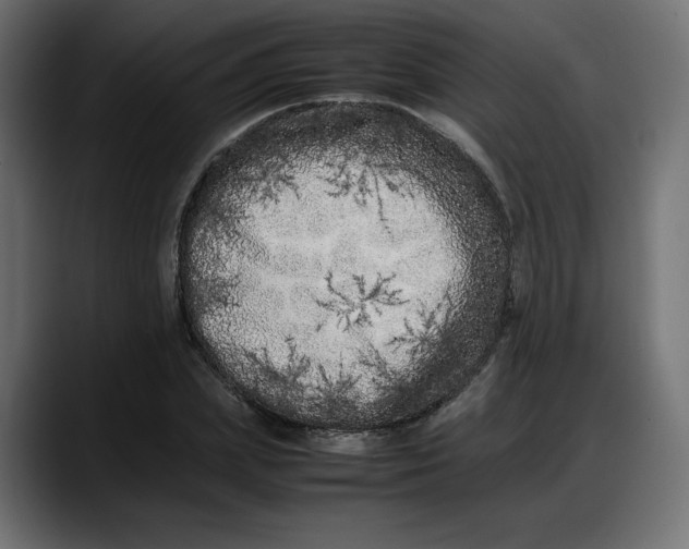 X0000087750831200705291032