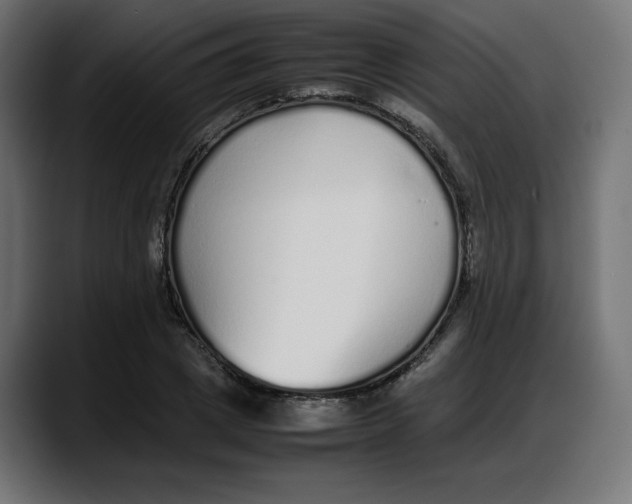 X0000087750833200705291032