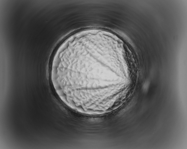 X0000087750839200705291032