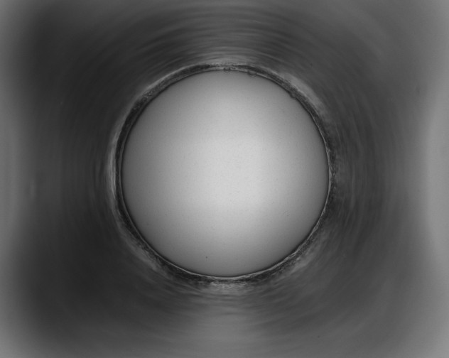 X0000087750840200705291032