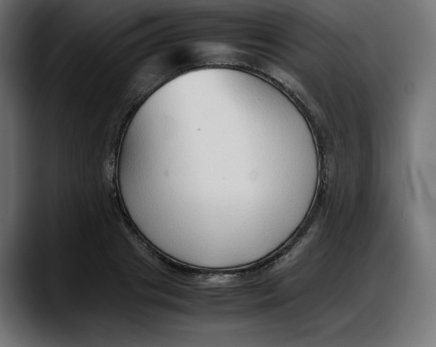 X0000087750841200705291032