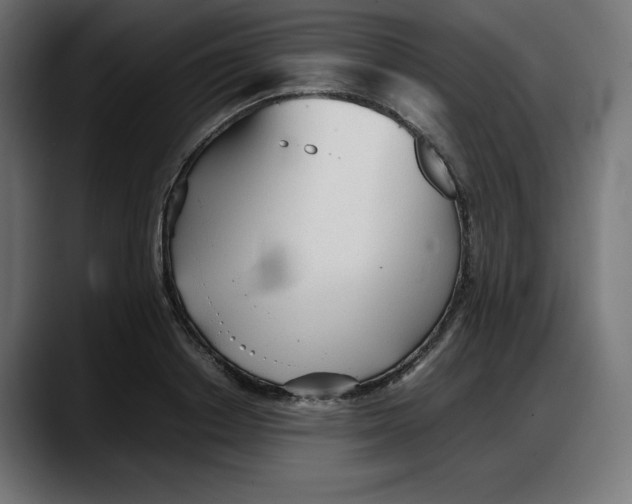 X0000087750842200705291032