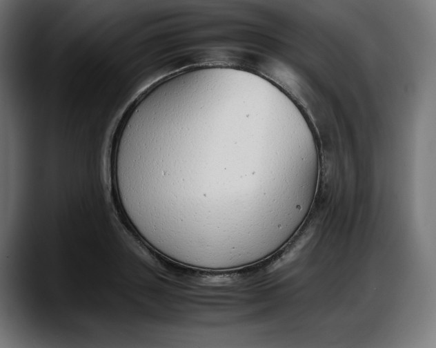 X0000087750843200705291032