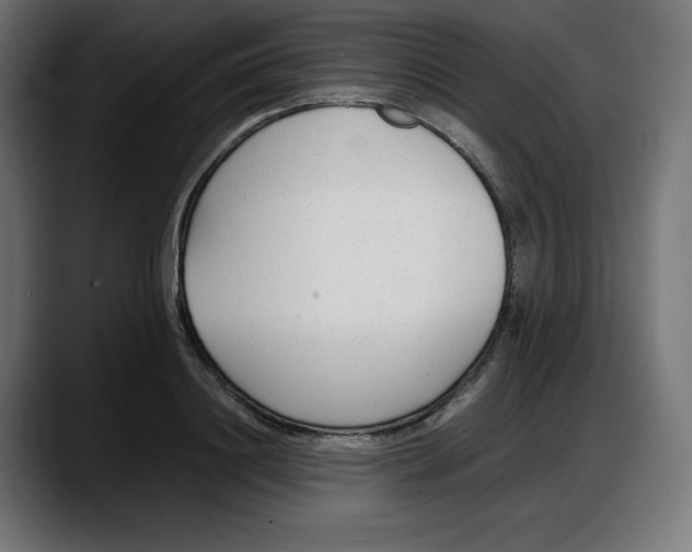 X0000087750844200705291032