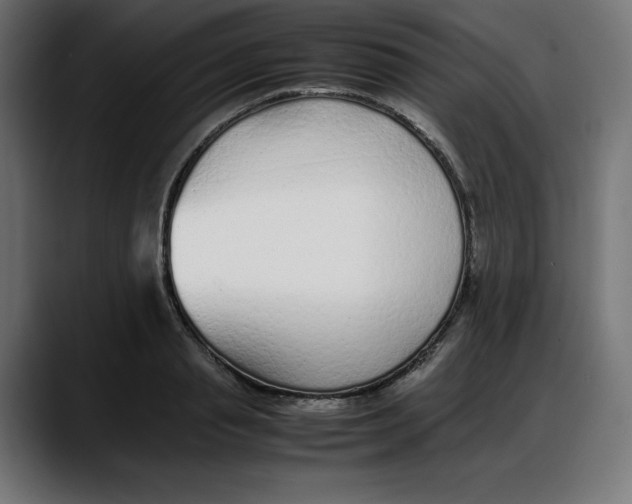 X0000087750845200705291032