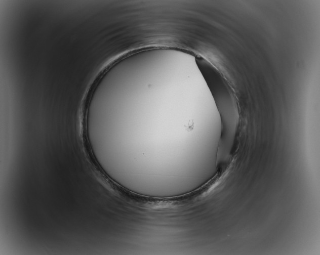 X0000087750846200705291032