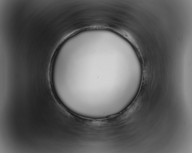 X0000087750847200705291032