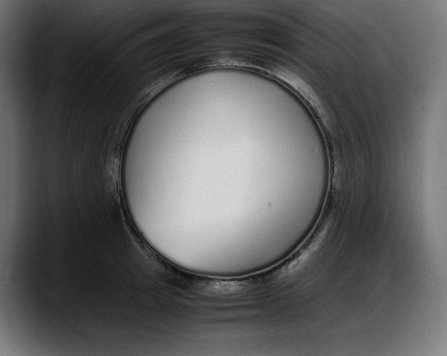 X0000087750849200705291032