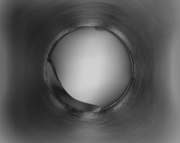 X0000087750850200705291032