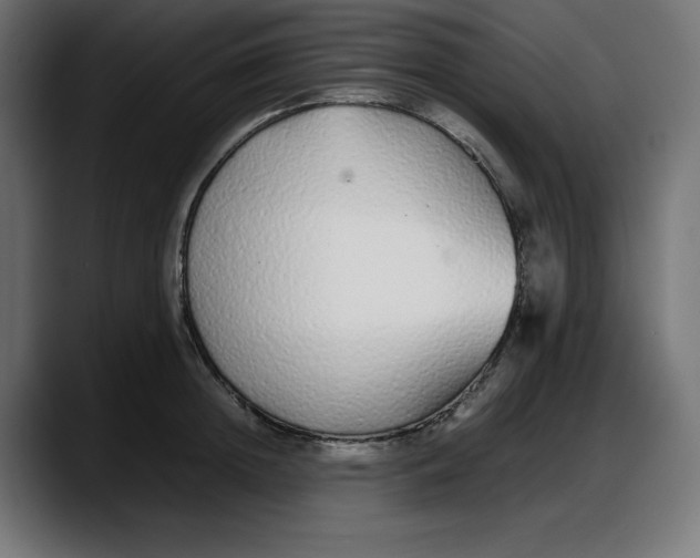 X0000087750852200705291032