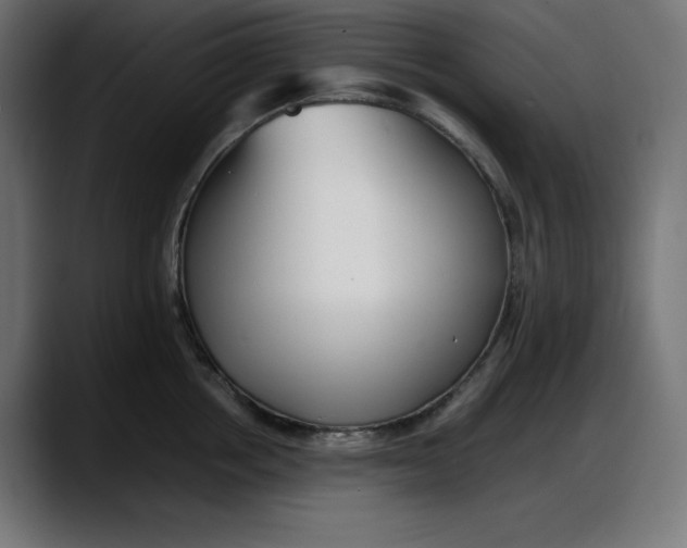 X0000087750858200705291032