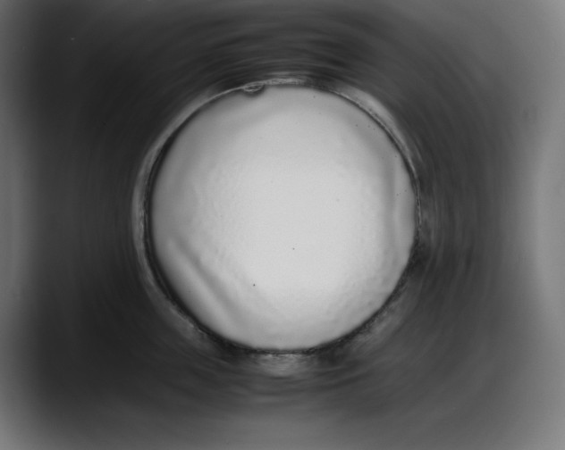 X0000087750859200705291032