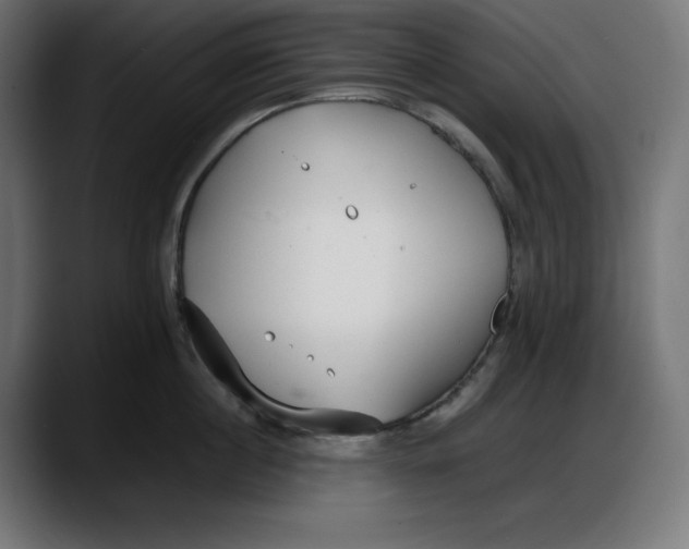 X0000087750860200705291032