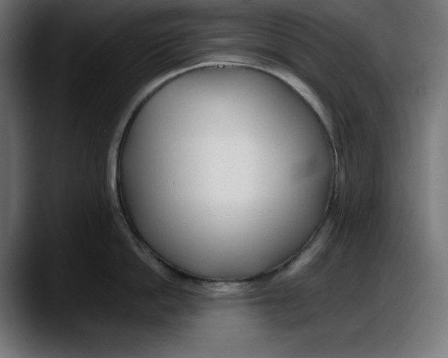 X0000087750862200705291032