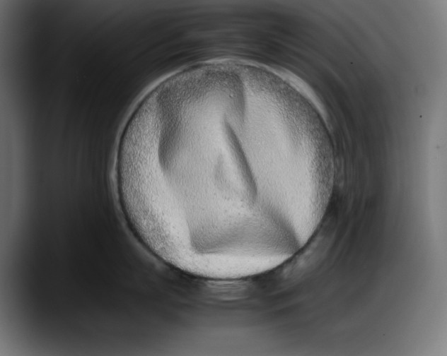 X0000087750863200705291032