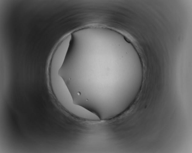 X0000087750864200705291032