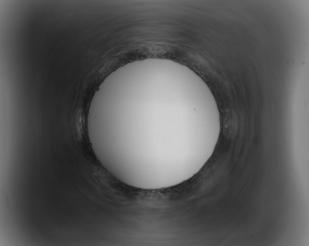 X0000087750866200705291031