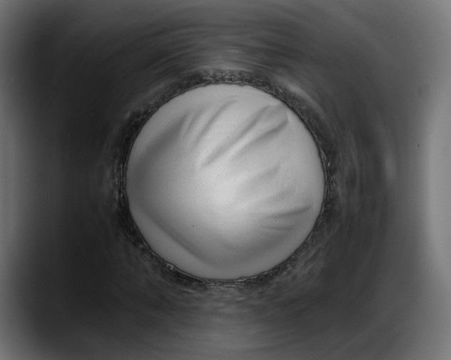 X0000087750870200705291031